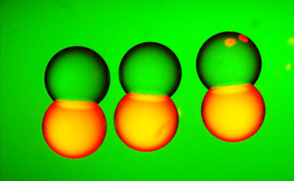 Three pairs of adhering droplets, green and yellow